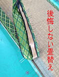 後悔しない畳替え