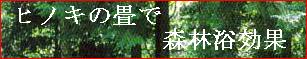 �O�̏�ŐX�ї�