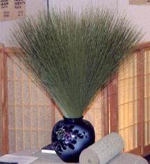 �C���@�a���@�ɑ��@�����@�䑐�@���c��