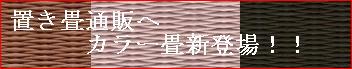 �u�����ʔ̂փJ���[���V�o��