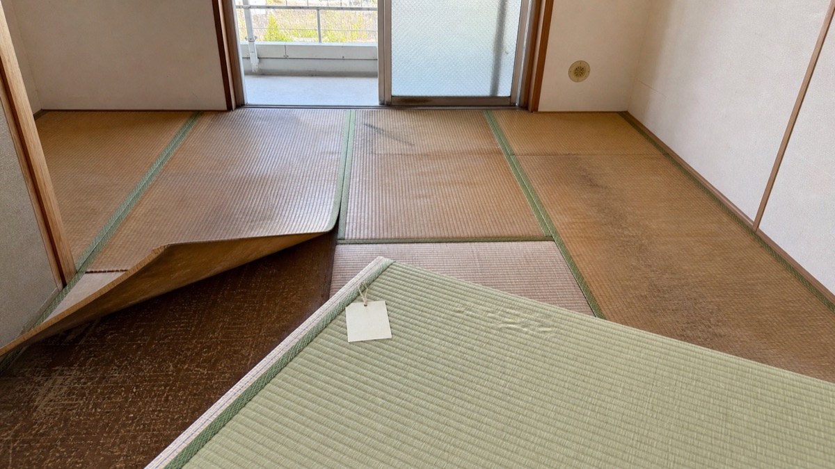県営住宅の退去前に畳を張り替える様子