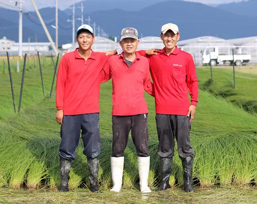 熊本県産い草生産者 畑野さん