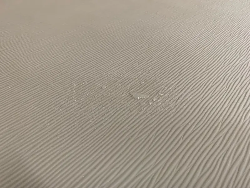 わんにゃんスマイル畳